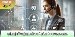 Liên hệ hỗ trợ xem bóng đá đảm bảo uptime 99.9% ổn định
